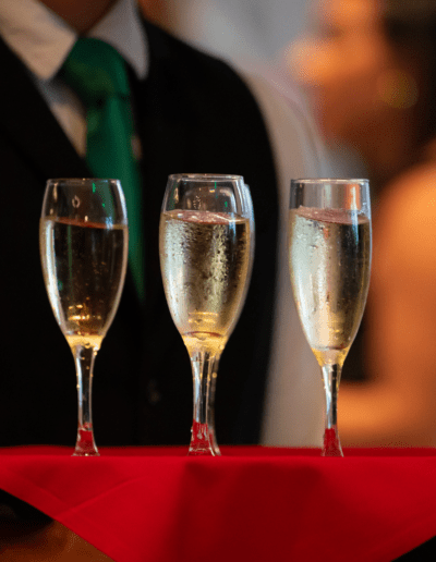 professional event photography in Sarasota